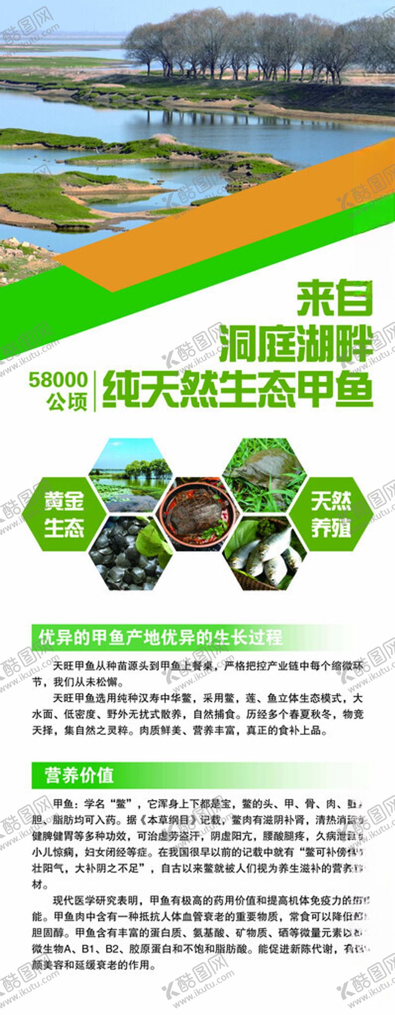 编号：64849103080426407445【酷图网】源文件下载-生态易拉宝