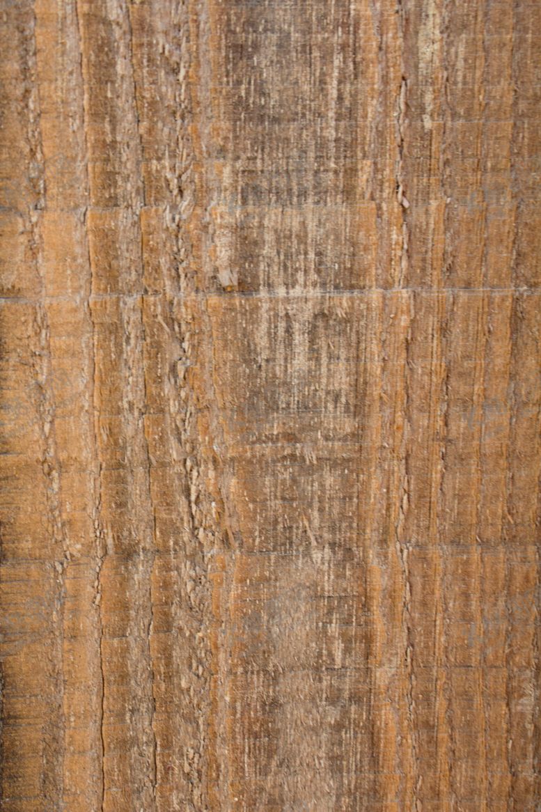 编号：62252509152257592301【酷图网】源文件下载-树皮