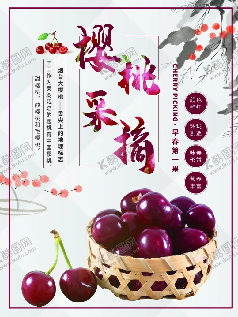 编号：27336304230213536224【酷图网】源文件下载-樱桃采摘
