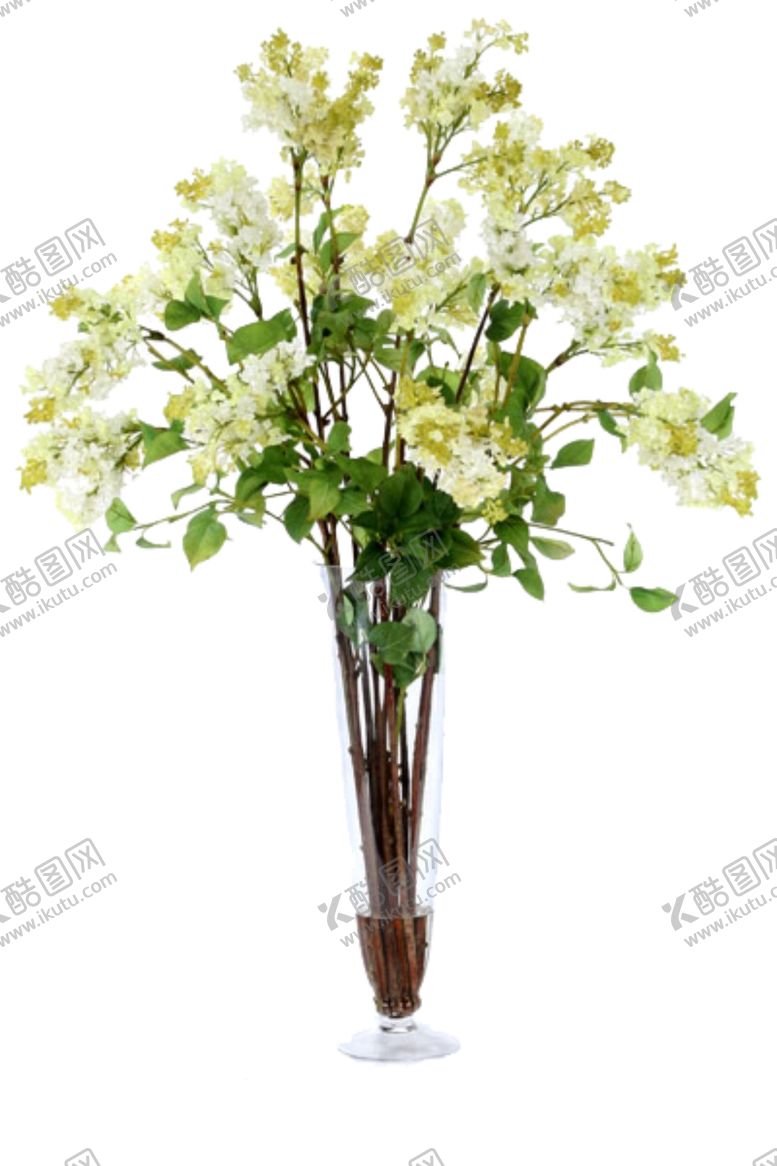 编号：26548007141636005568【酷图网】源文件下载-免抠背景花草树木