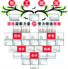 员工风采团队照片展示公司背景墙