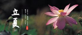 立夏封面公众号封面节日