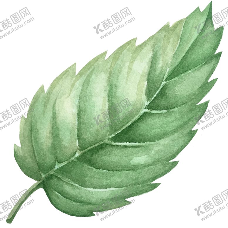 编号：38741609170633225555【酷图网】源文件下载-手绘植物