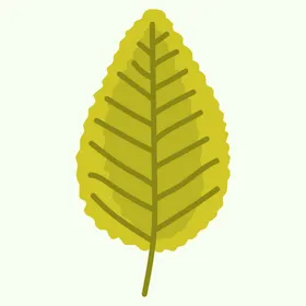 植物卡通水彩手绘
