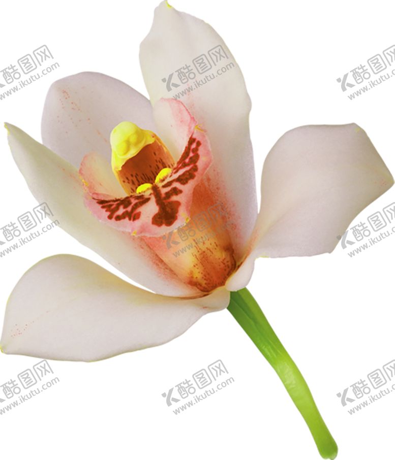 编号：65461309151711081662【酷图网】源文件下载-浪漫素材