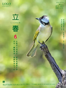 立春24节气朋友圈绿叶