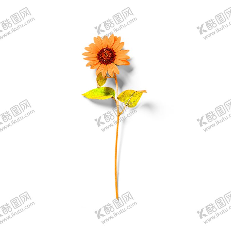 编号：54431206160654217514【酷图网】源文件下载-花素材