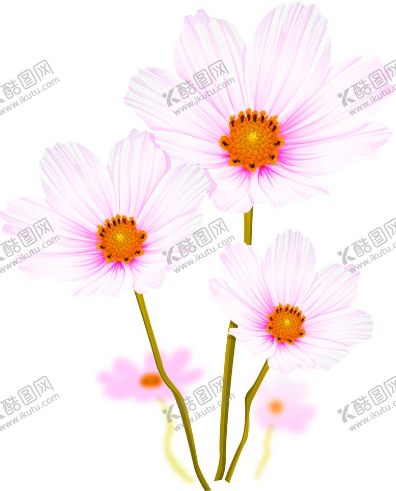 编号：48047807061405319939【酷图网】源文件下载-花素材