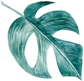 手绘花卉园艺结婚请帖森系纹浪漫唯美