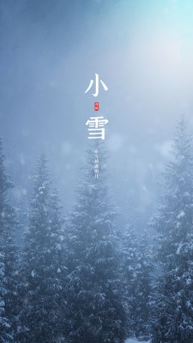 小雪创意海报