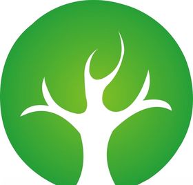 植物、茶叶、食品、有机、环保标
