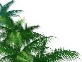 绿色植物