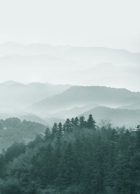 大山水瓶子