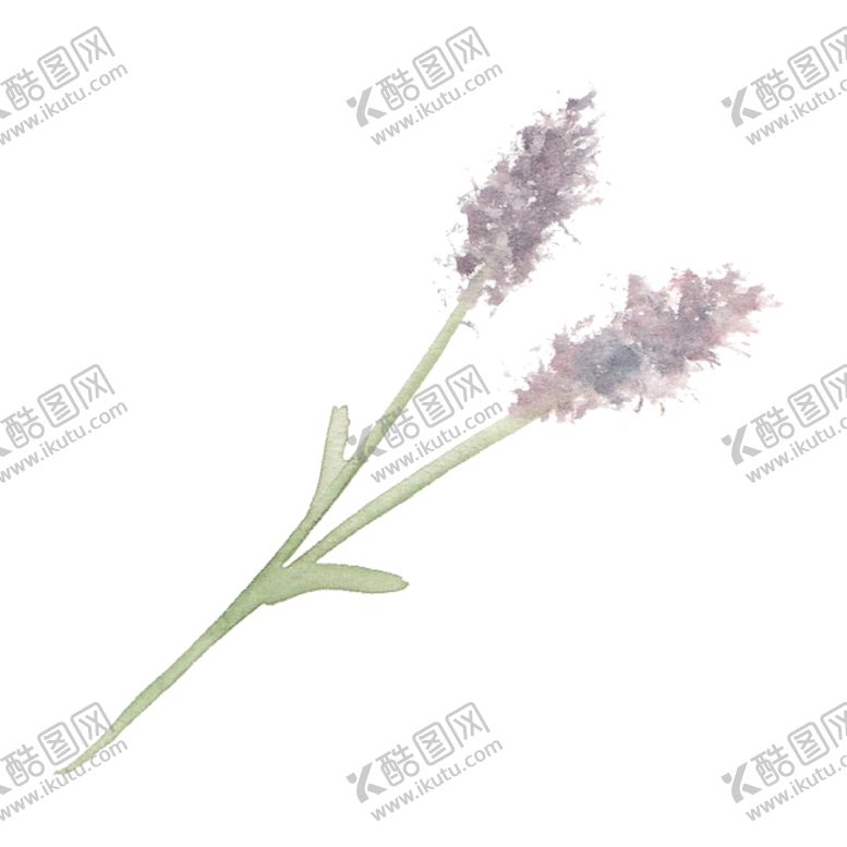 编号：31957706270002195297【酷图网】源文件下载-花朵
