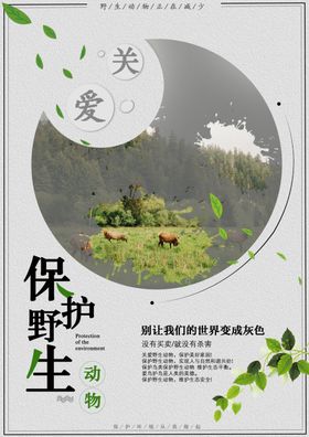 保护动物