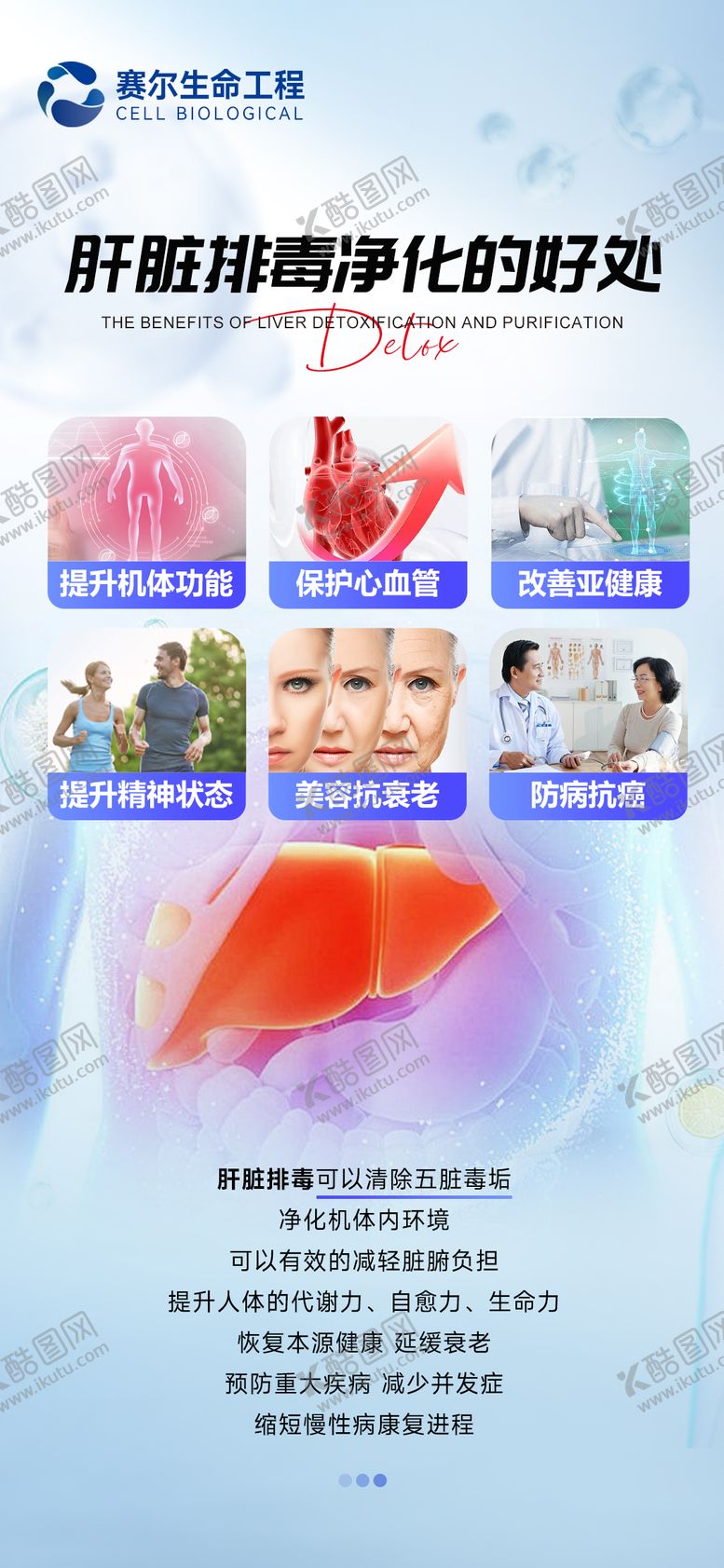 编号：98940108151117544913【酷图网】源文件下载-肝脏细胞排毒海报