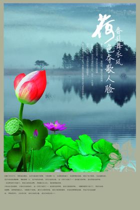 荷花池塘风景创意文案海报
