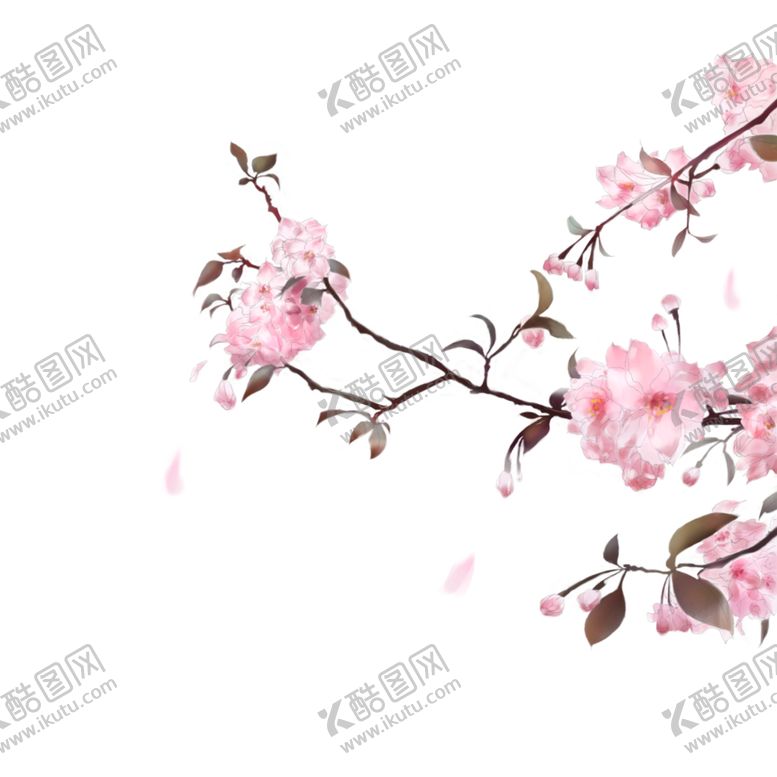 编号：93199206231528351071【酷图网】源文件下载-手绘植物花卉
