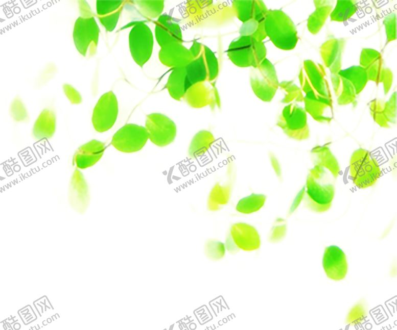 编号：57766410170134355508【酷图网】源文件下载-绿色植物