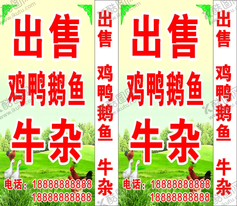 编号：21402310241509305726【酷图网】源文件下载-家禽出售灯箱