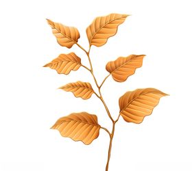 手绘叶子