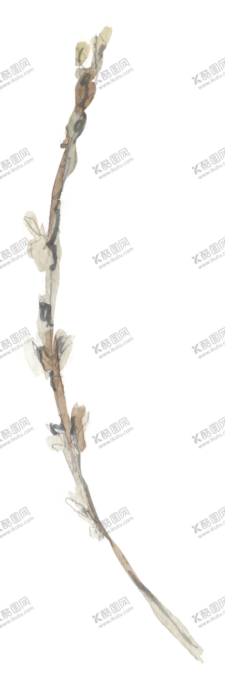 编号：54821206270156544193【酷图网】源文件下载-北欧小清新水彩植物图案