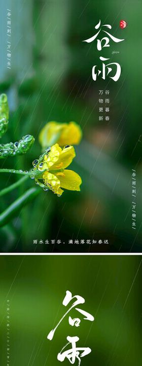 谷雨24节气