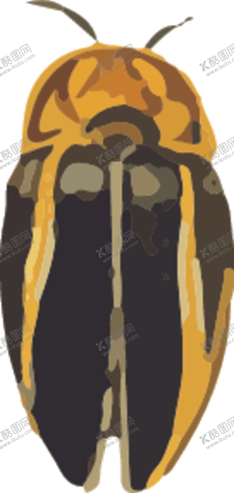 编号：61988509181834053045【酷图网】源文件下载-自然昆虫标本插画