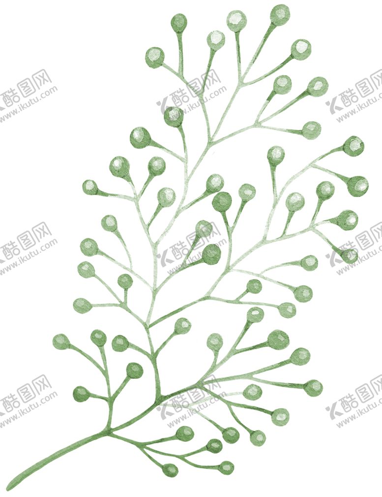 编号：80737606191034249457【酷图网】源文件下载-手绘植物
