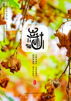 立秋唯美天单页落叶节气海报