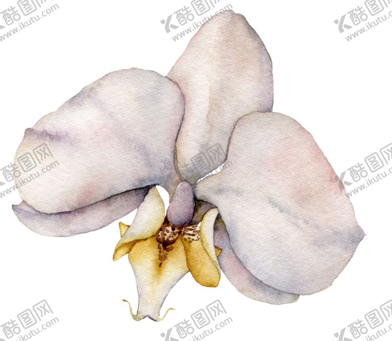 编号：89729609210604052790【酷图网】源文件下载-植物花朵装饰图案