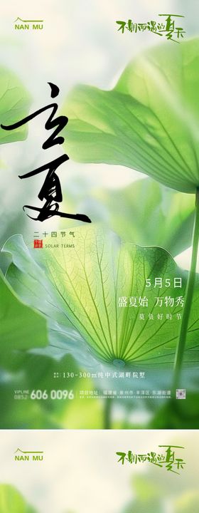 立夏夏至节气植物清新海报