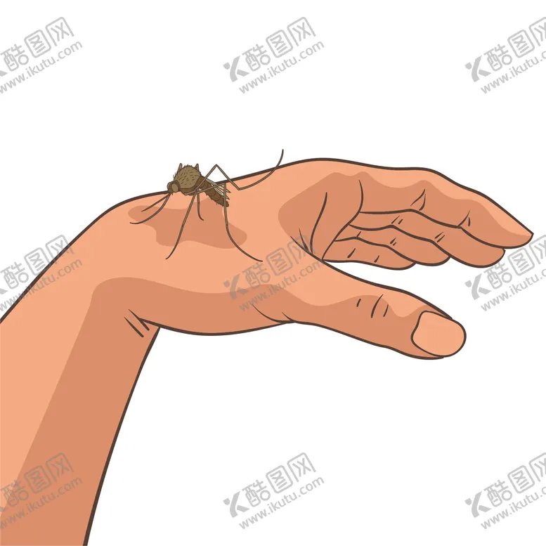 编号：53784010120511086148【酷图网】源文件下载-蚊子相关 
