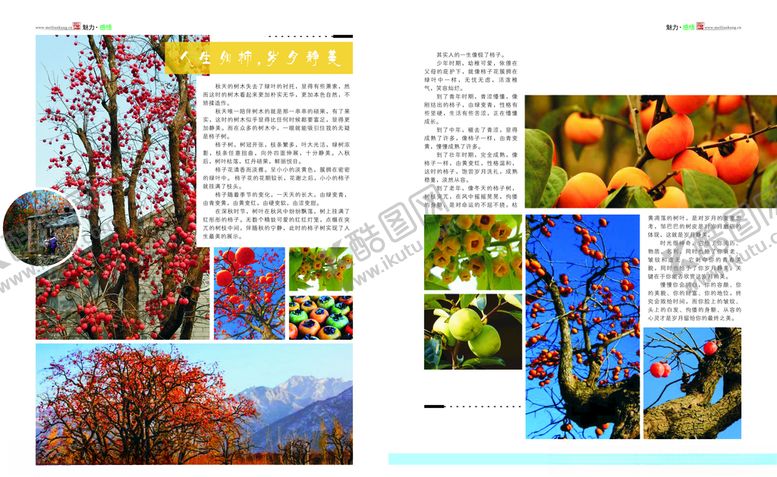 编号：49673210181506049109【酷图网】源文件下载-杂志设计