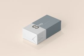 包装盒样机VI宣传企业