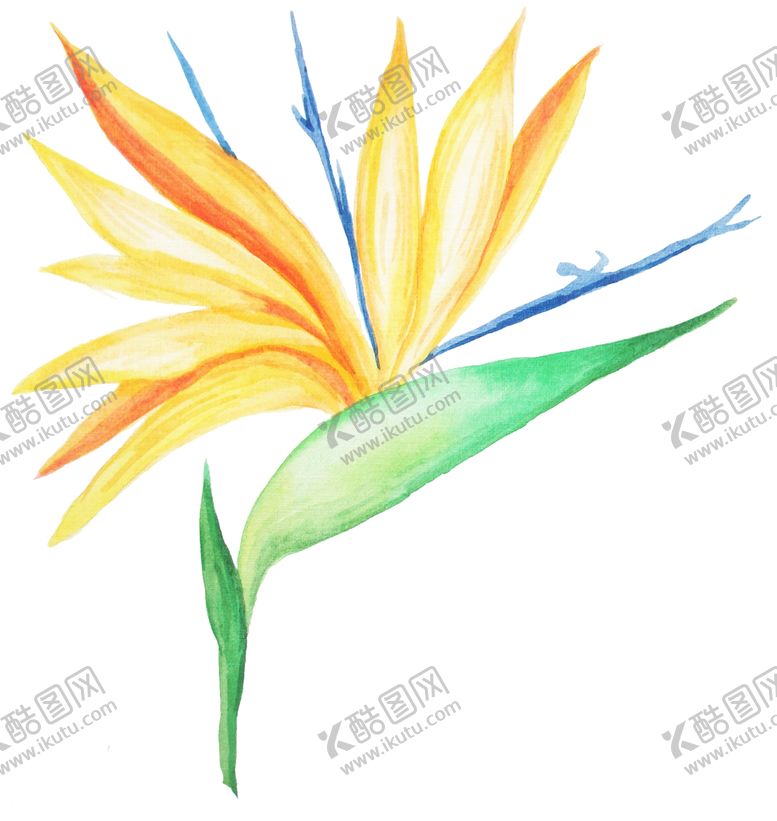 编号：76111106251833302401【酷图网】源文件下载-彩绘植物