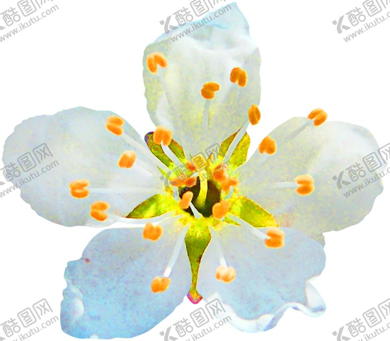 编号：93543809220933527388【酷图网】源文件下载-鲜花装饰