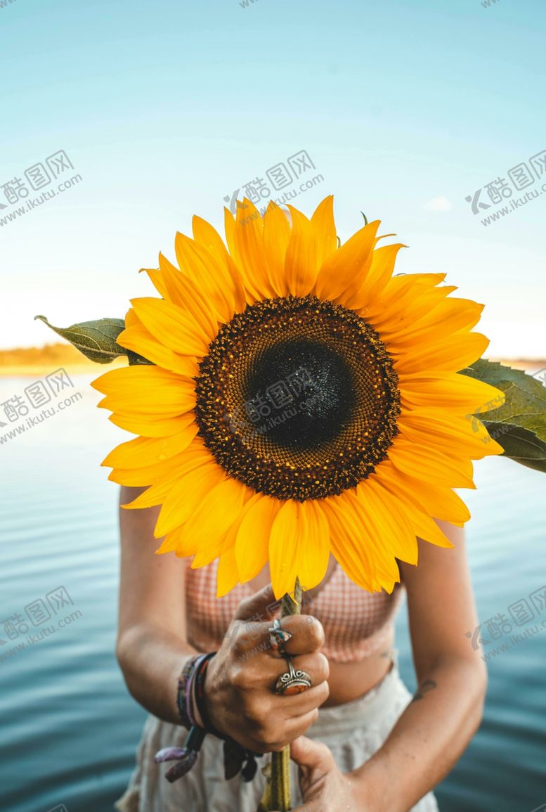 编号：22979912270855255255【酷图网】源文件下载-向日葵