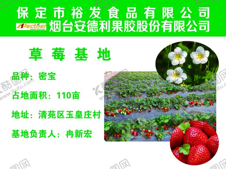 编号：77876209262244072688【酷图网】源文件下载-草莓基地公示牌