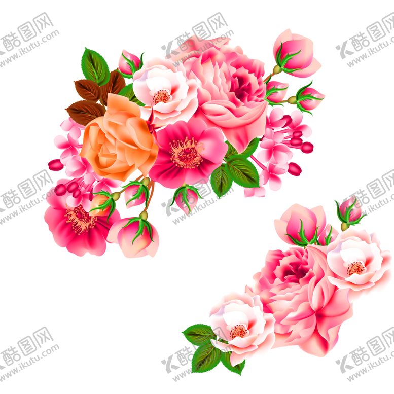 编号：54294206301644041356【酷图网】源文件下载-花素材