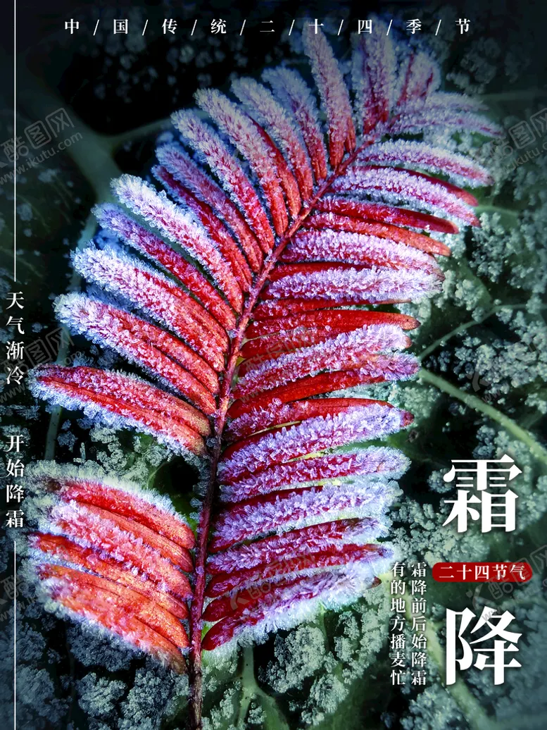 编号：14770410230212281739【酷图网】源文件下载-霜降