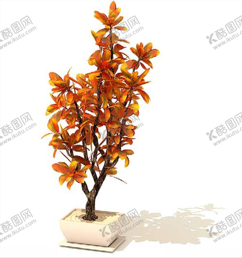 编号：64292203251144264673【酷图网】源文件下载-石榴花