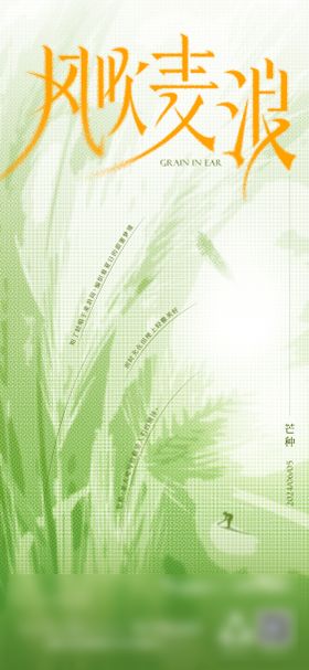 芒种