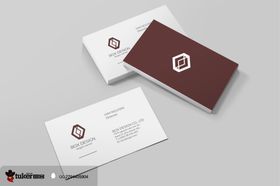 名片VI 样机效果图