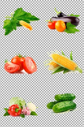 绿色有机健康蔬菜