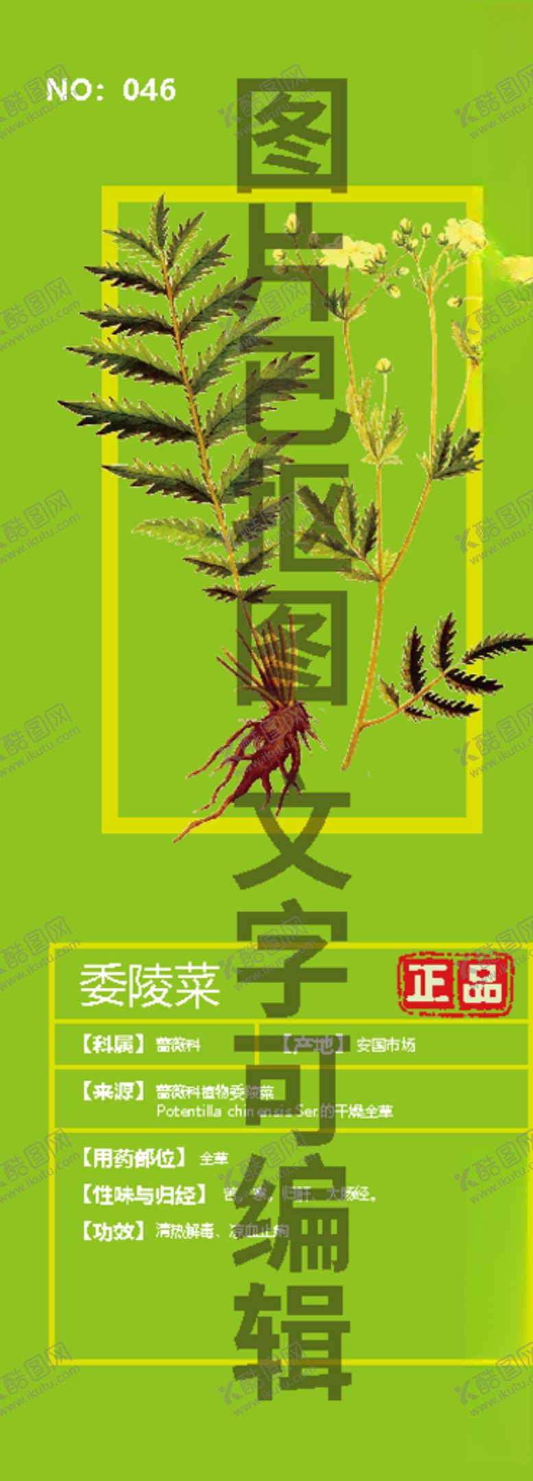 编号：38211405120020207160【酷图网】源文件下载-委陵菜