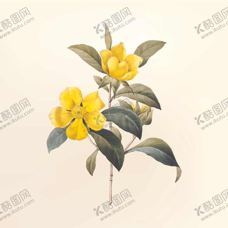 编号：68503507080701053536【酷图网】源文件下载-花纹