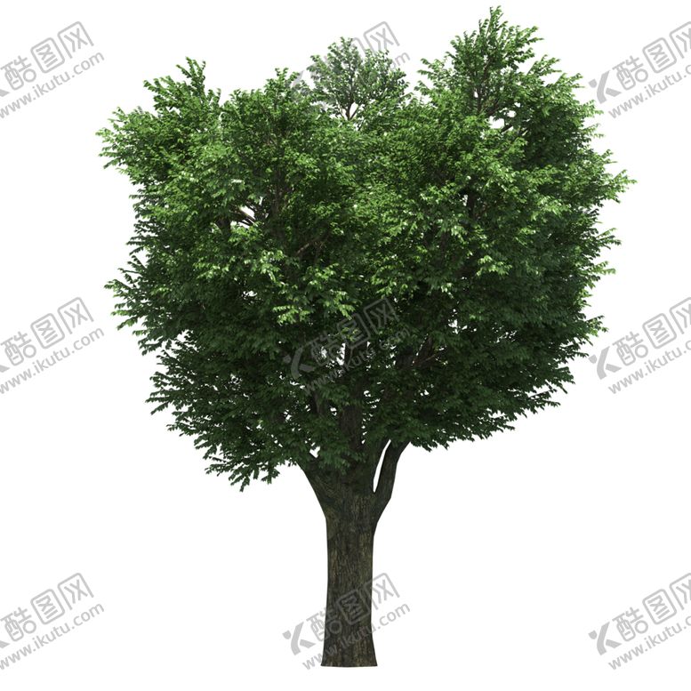 编号：86109110280515479152【酷图网】源文件下载-景观树