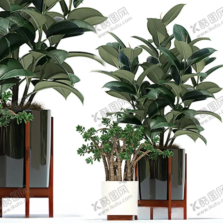 编号：32756512151842169270【酷图网】源文件下载-C4D模型绿色植物