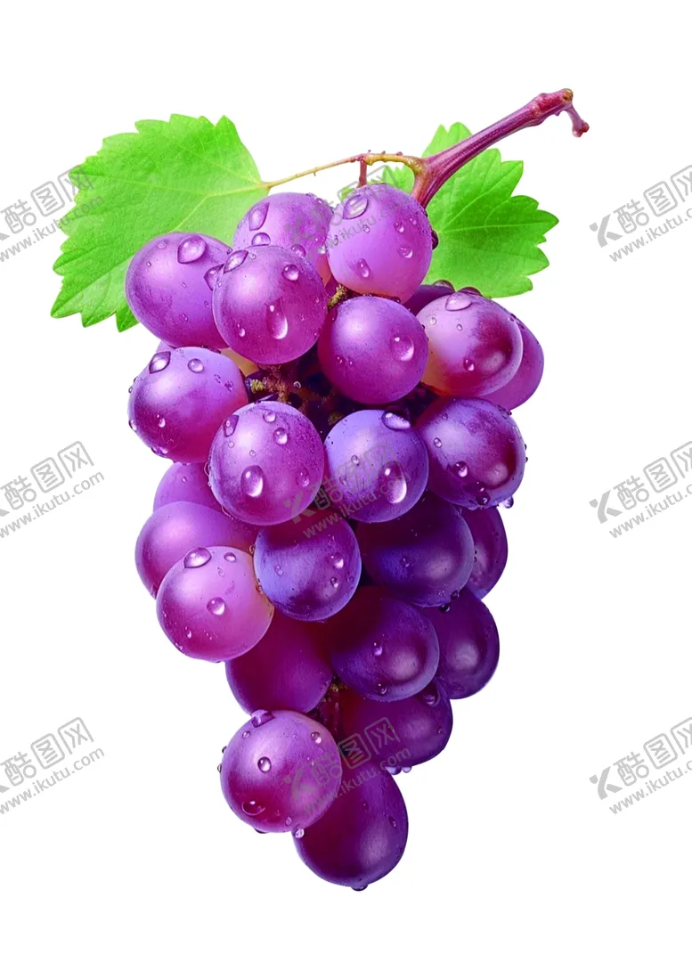 编号：32921202171725451299【酷图网】源文件下载-葡萄